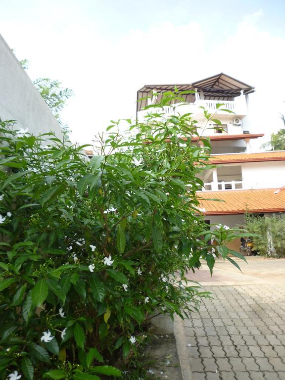 Resort Deepika מיריסה מראה חיצוני תמונה